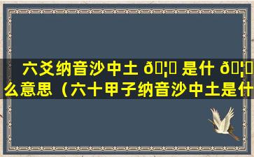 六爻纳音沙中土 🦄 是什 🦊 么意思（六十甲子纳音沙中土是什么意思）